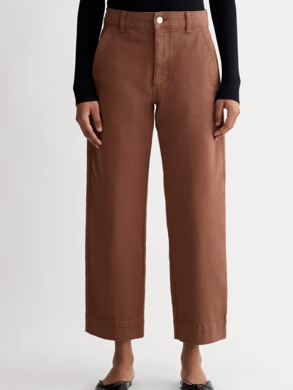 Everlane The Utility Straight Leg Pant in Rist